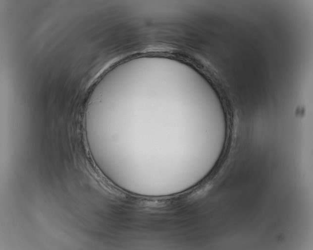 X0000112511401200908171036