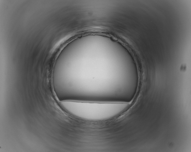 X0000112511402200908171036