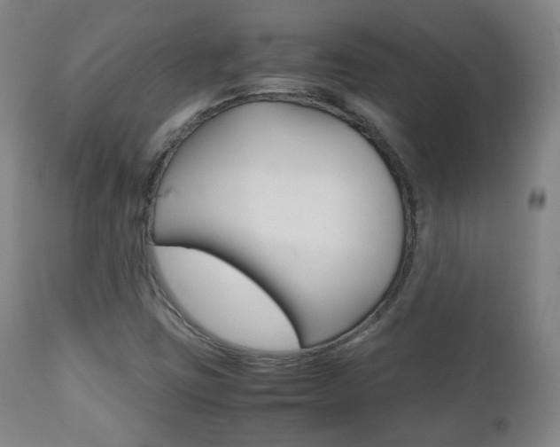 X0000112511403200908171036