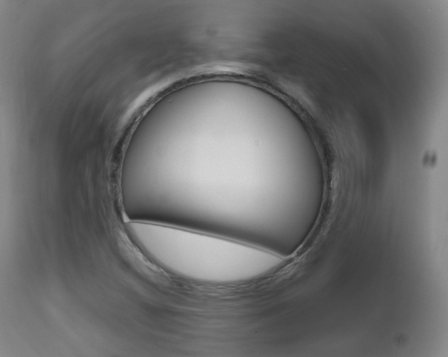 X0000112511404200908171037