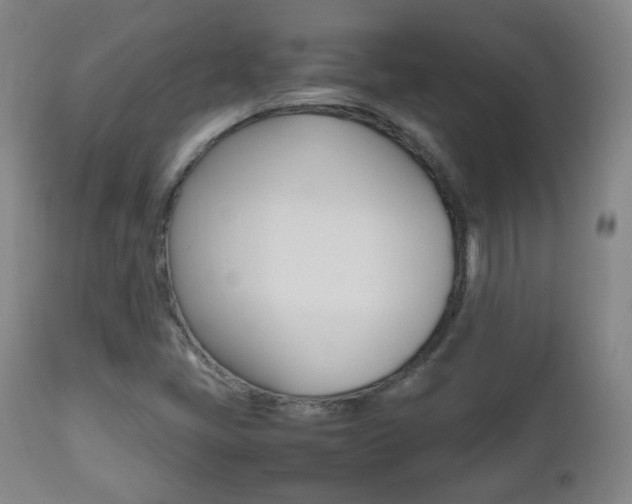 X0000112511405200908171037
