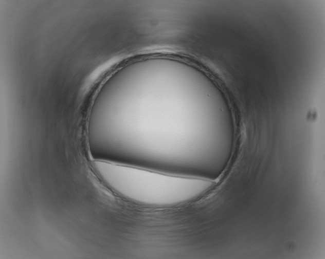 X0000112511406200908171037