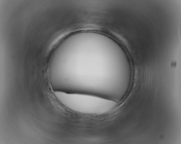 X0000112511407200908171037