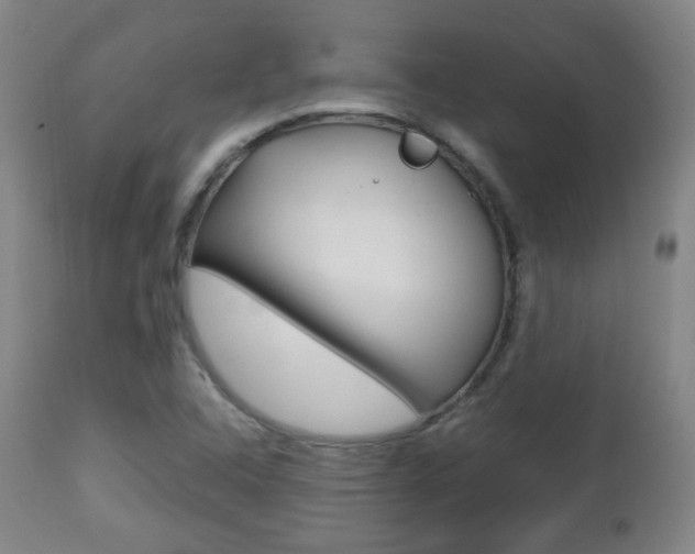 X0000112511408200908171037