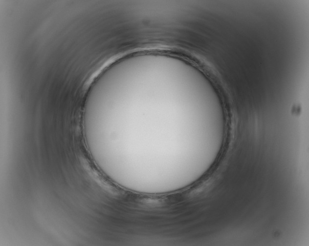 X0000112511409200908171037