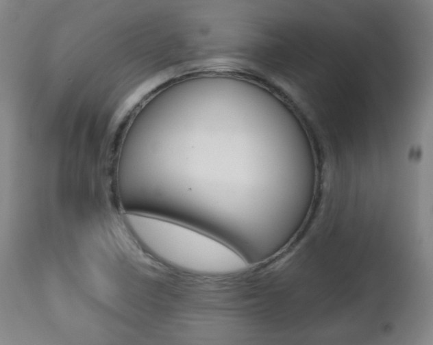X0000112511410200908171037