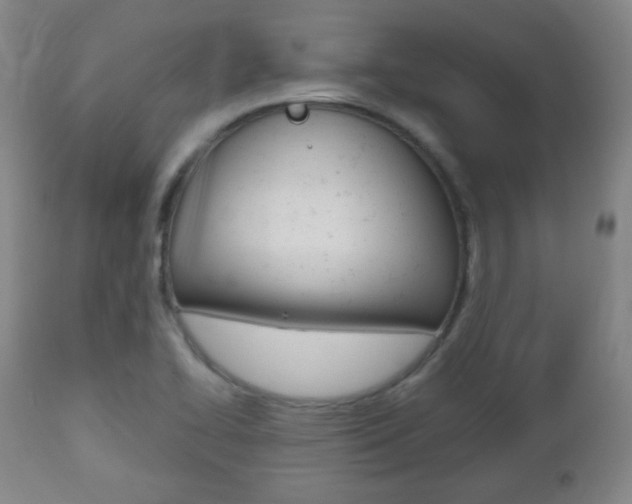 X0000112511414200908171037