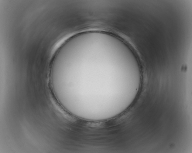 X0000112511415200908171037