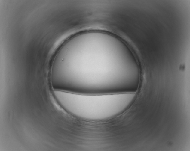 X0000112511416200908171037