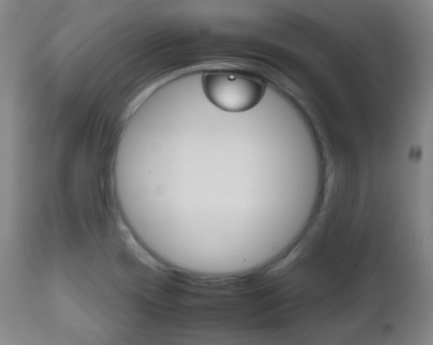 X0000112511417200908171037
