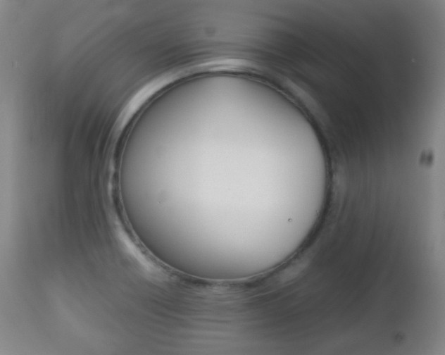 X0000112511418200908171037