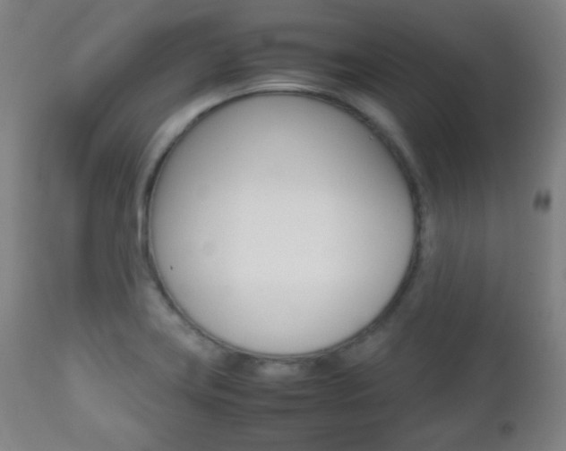 X0000112511419200908171037