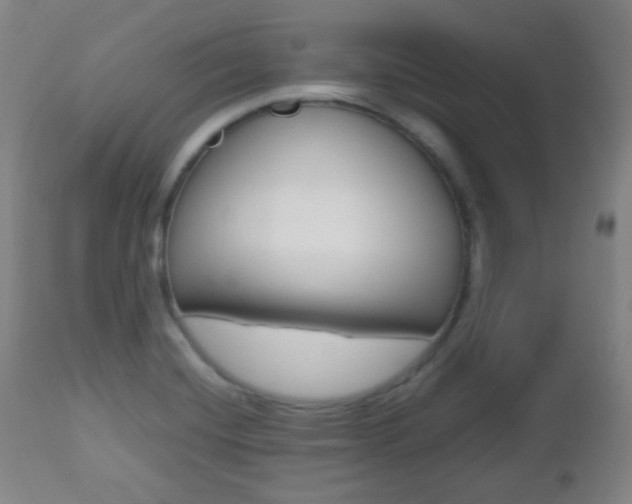 X0000112511420200908171037