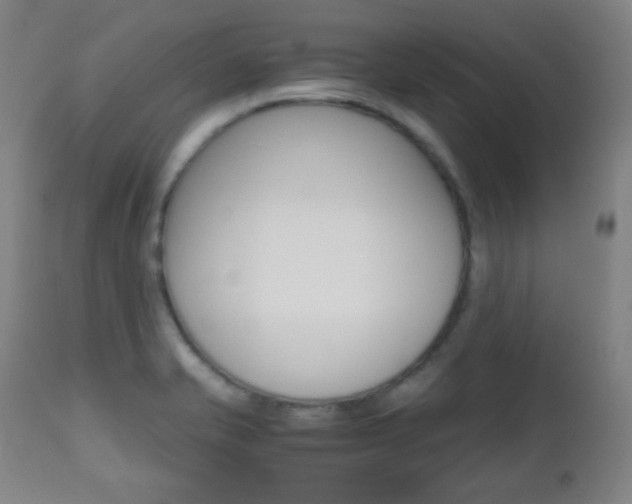 X0000112511421200908171037