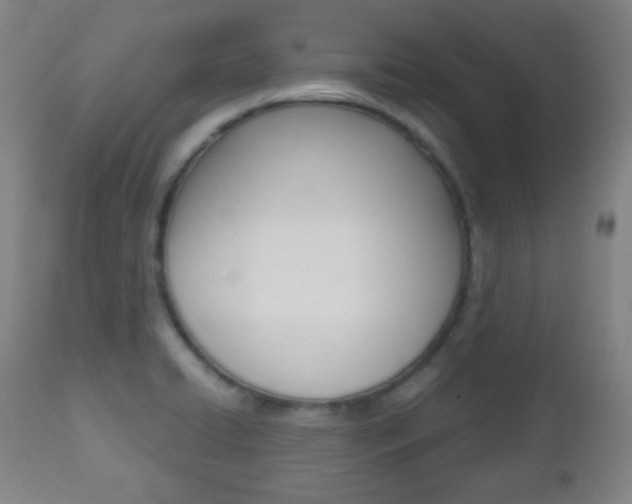 X0000112511422200908171037