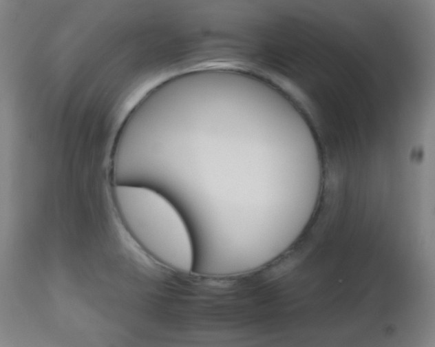 X0000112511423200908171037