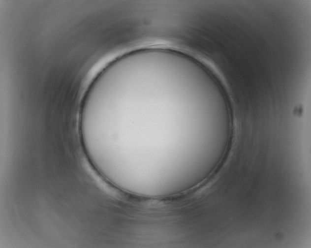 X0000112511424200908171037