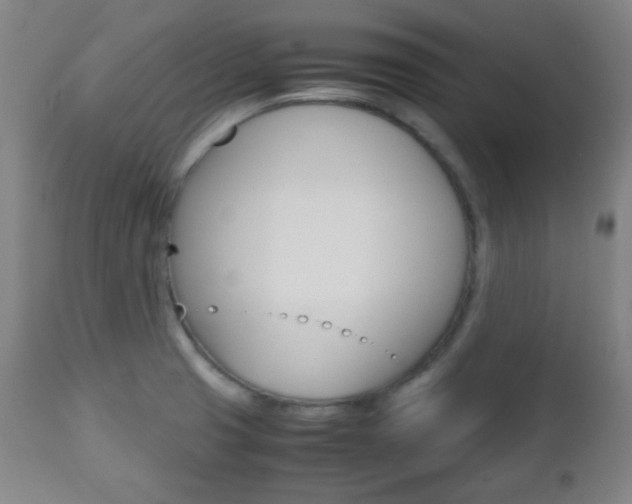 X0000112511425200908171037