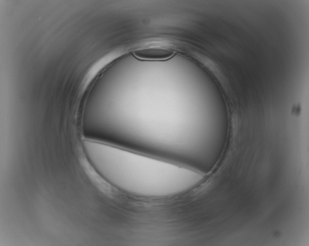 X0000112511426200908171037