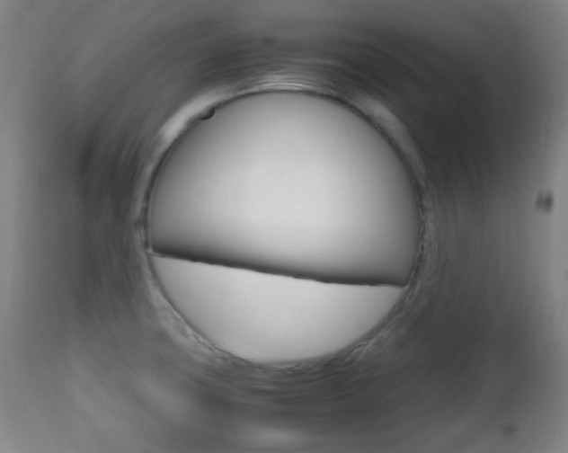 X0000112511427200908171037