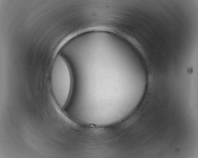 X0000112511428200908171037