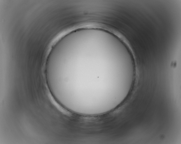 X0000112511429200908171037