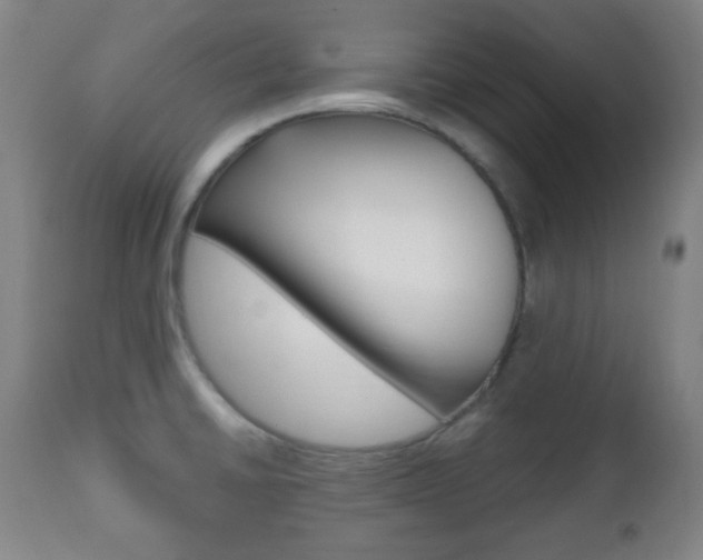 X0000112511430200908171037