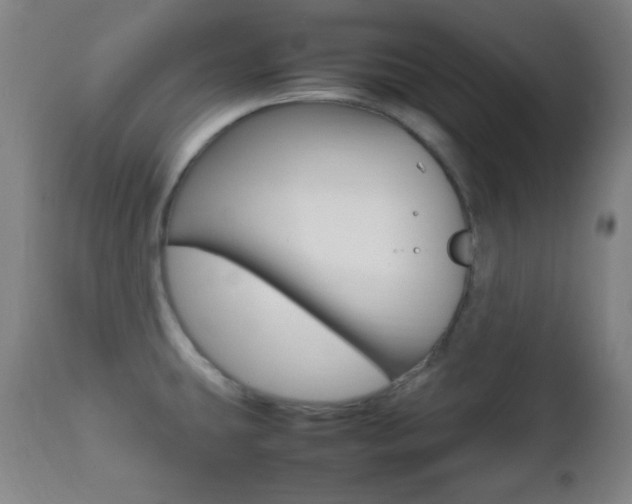 X0000112511431200908171037