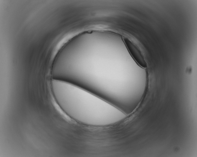 X0000112511432200908171037