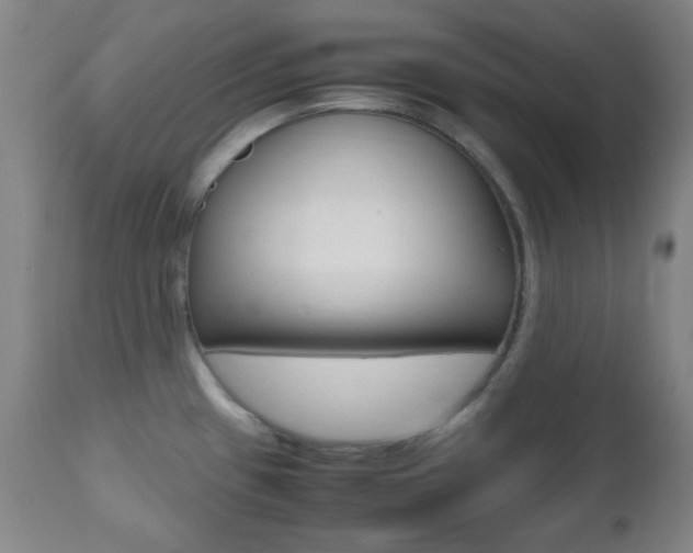 X0000112511433200908171037