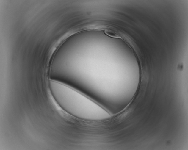 X0000112511434200908171037