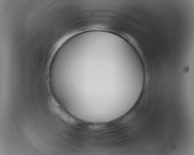 X0000112511435200908171037