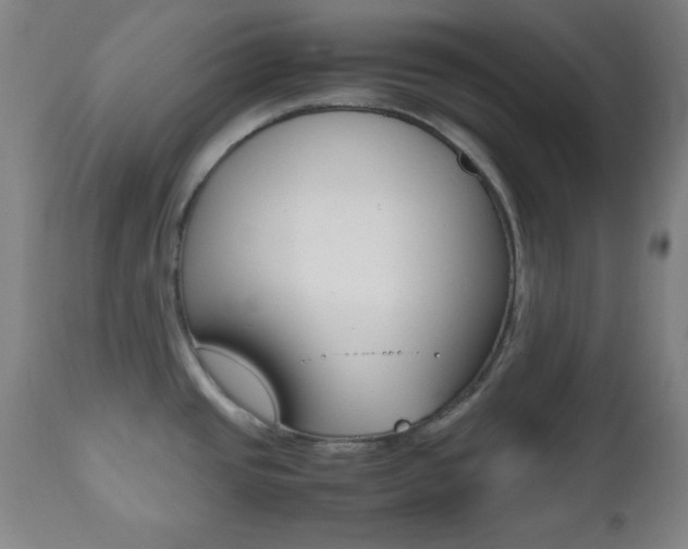 X0000112511437200908171037
