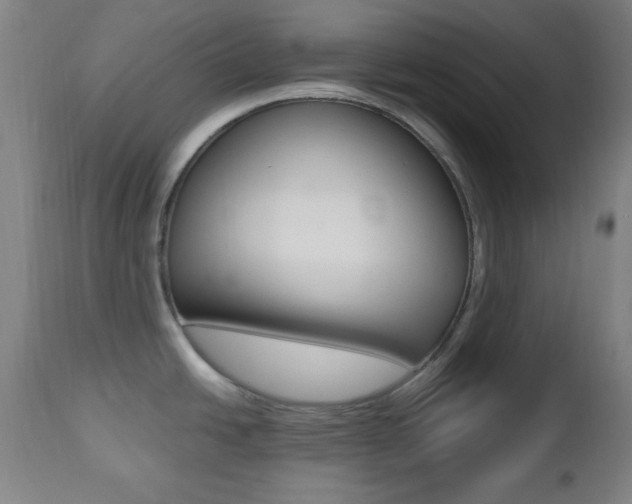 X0000112511438200908171037