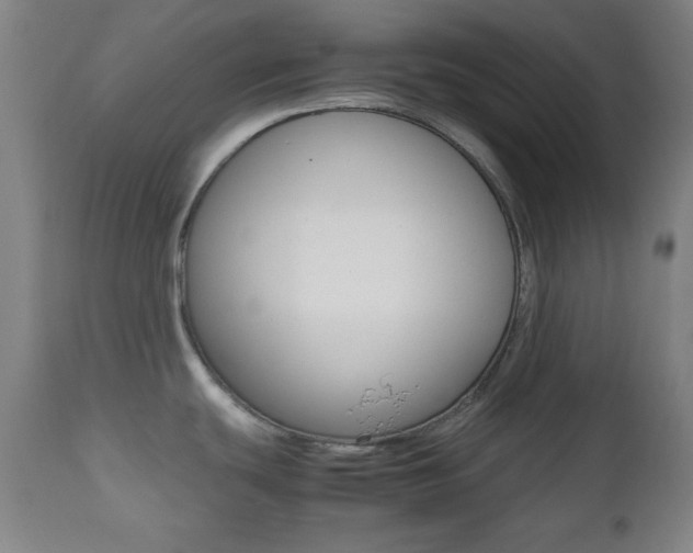 X0000112511439200908171037