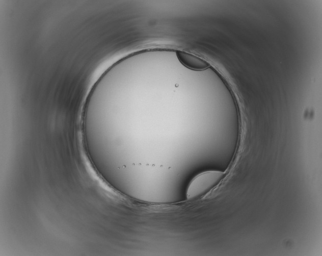 X0000112511440200908171037