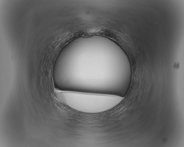X0000112511441200908171036