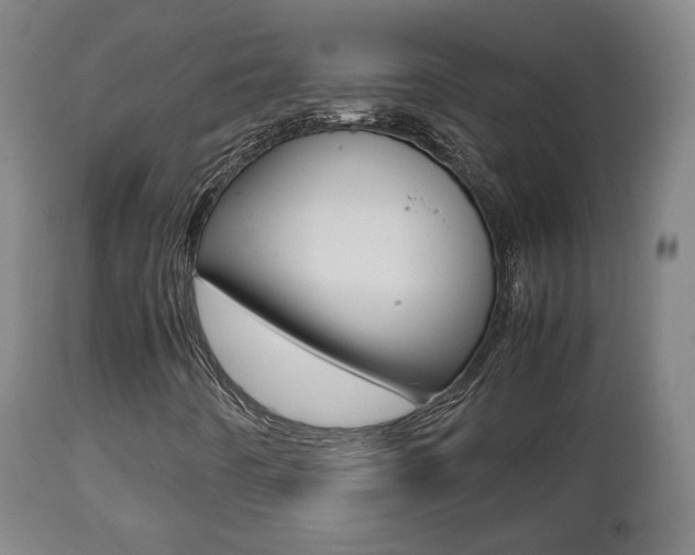 X0000112511442200908171036