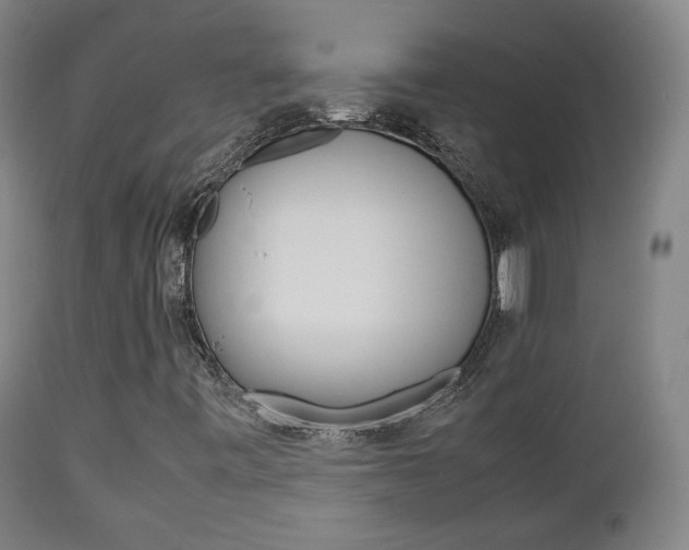 X0000112511443200908171036