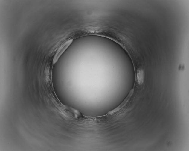 X0000112511444200908171036
