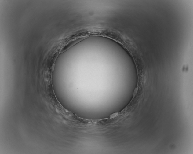 X0000112511445200908171036