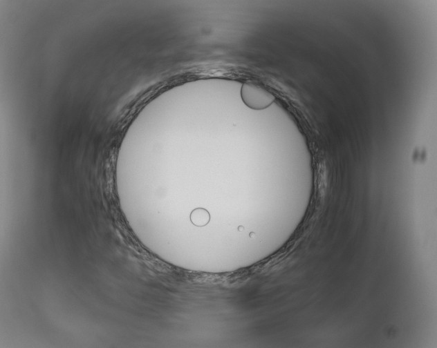 X0000112511446200908171036