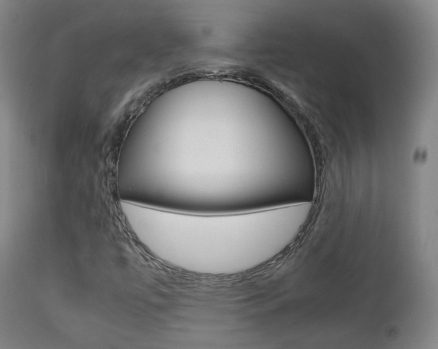 X0000112511447200908171036