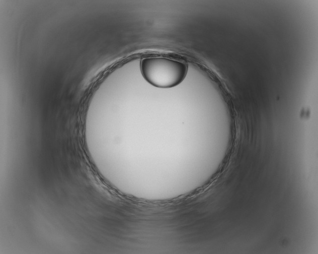X0000112511448200908171036