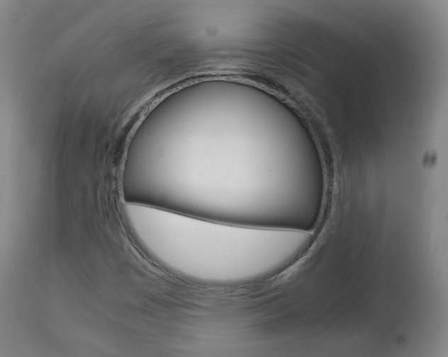 X0000112511449200908171036