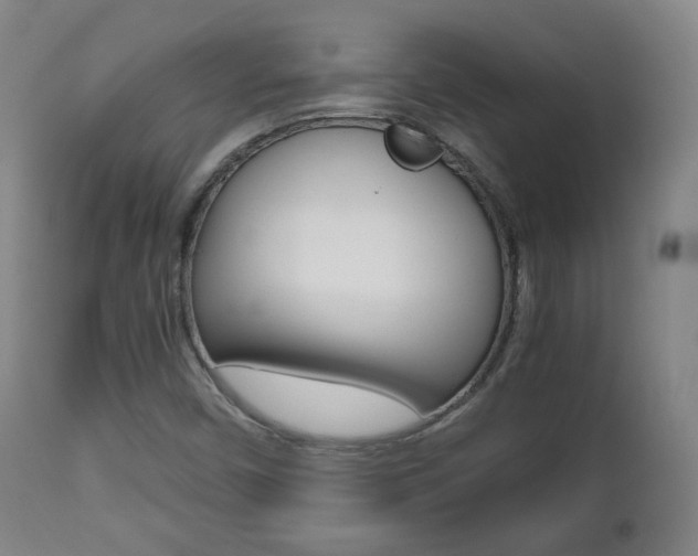 X0000112511450200908171036