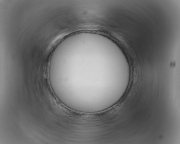 X0000112511451200908171036