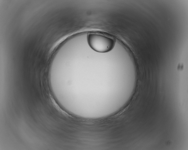 X0000112511452200908171036