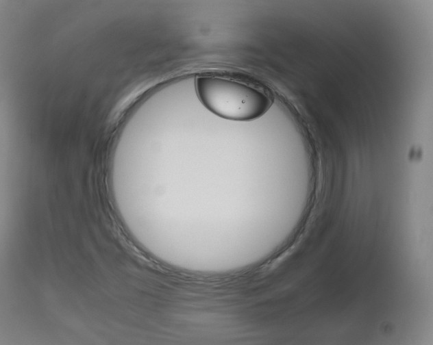 X0000112511453200908171036