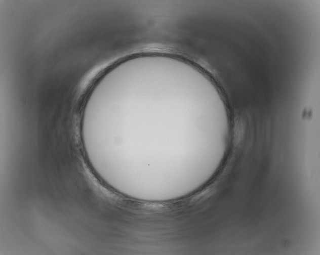 X0000112511454200908171036